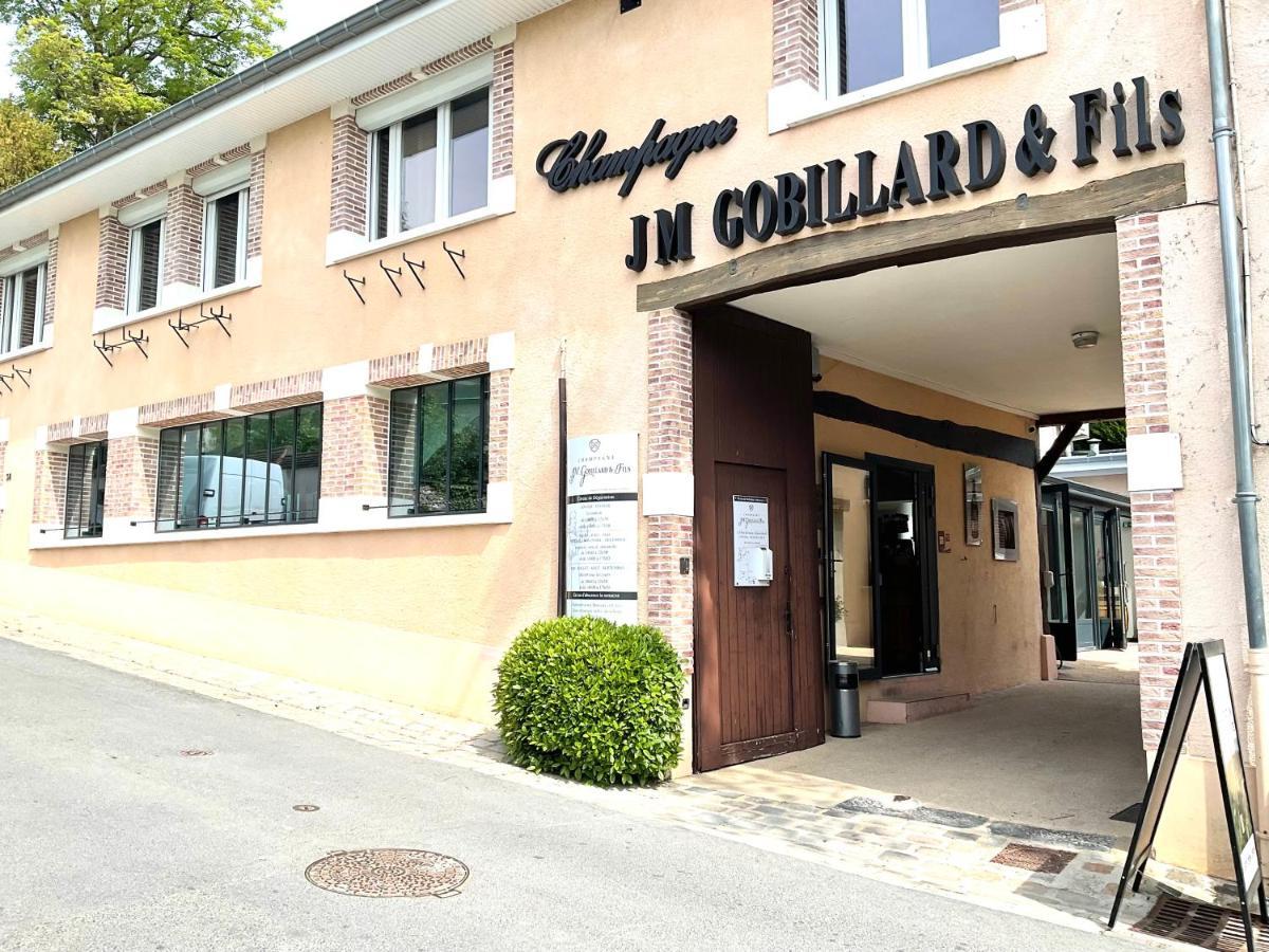 Les Loges Du Theatre Degustation Champagne Offerte Jacuzzi Sauna Jeux Velos Maison Prive 150M2 Historique 14Pers Max Emplacement Exceptionnel Et Chic, 200M De L'Avenue De Champagne, Gare, Musee, Jardins, Restaurations, Toutes Commodites 埃佩尔奈 外观 照片