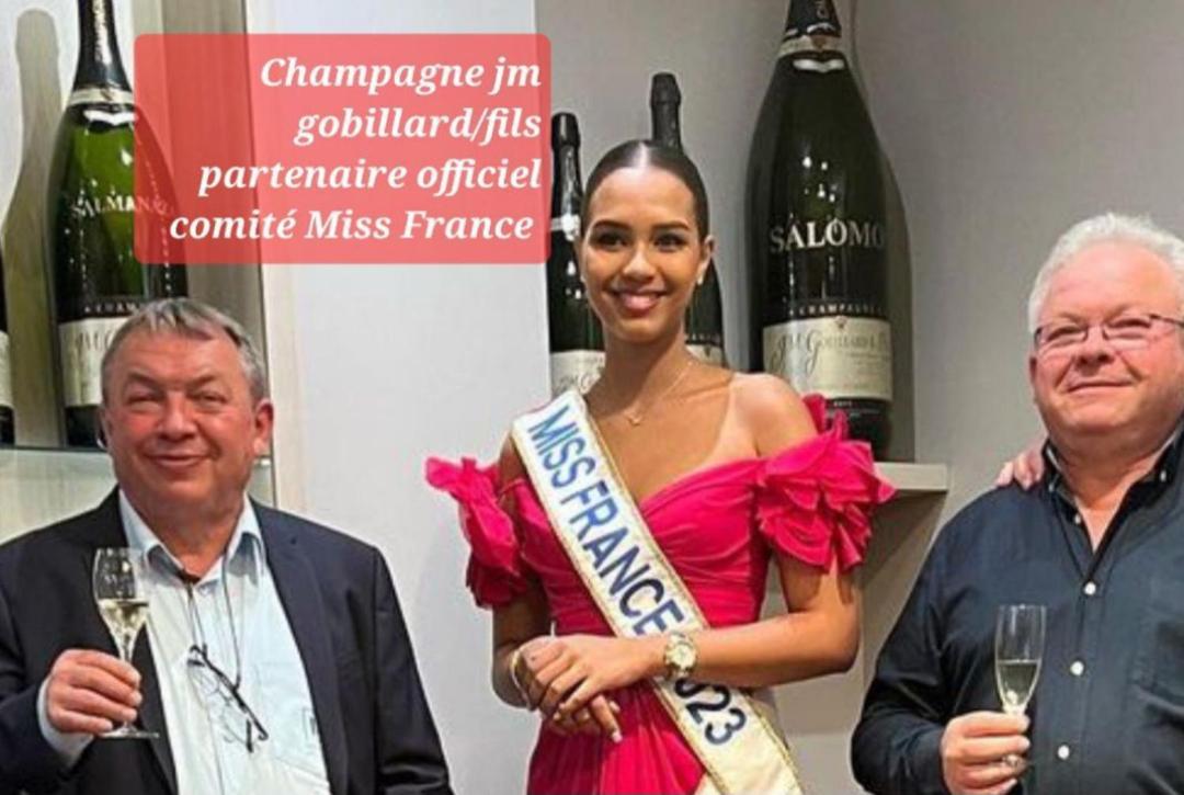 Les Loges Du Theatre Degustation Champagne Offerte Jacuzzi Sauna Jeux Velos Maison Prive 150M2 Historique 14Pers Max Emplacement Exceptionnel Et Chic, 200M De L'Avenue De Champagne, Gare, Musee, Jardins, Restaurations, Toutes Commodites 埃佩尔奈 外观 照片