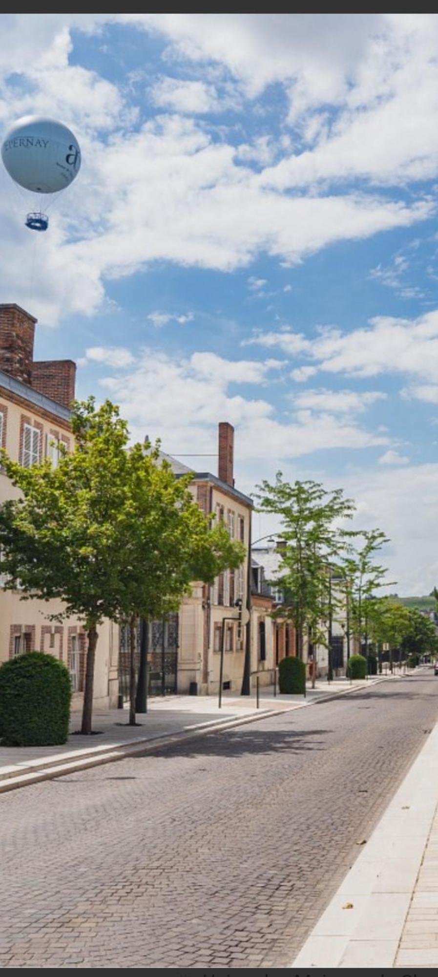 Les Loges Du Theatre Degustation Champagne Offerte Jacuzzi Sauna Jeux Velos Maison Prive 150M2 Historique 14Pers Max Emplacement Exceptionnel Et Chic, 200M De L'Avenue De Champagne, Gare, Musee, Jardins, Restaurations, Toutes Commodites 埃佩尔奈 外观 照片